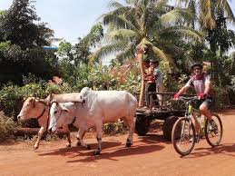 Cambodia Lifestyle Cycling Tour 9 Days